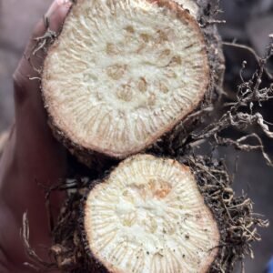এটো/গোড়ার চুইঝাল ১ কেজি